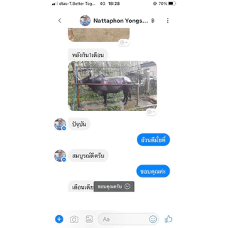 เทพบุตรโปรพลัส1ถุง (1กิโลกรัม)