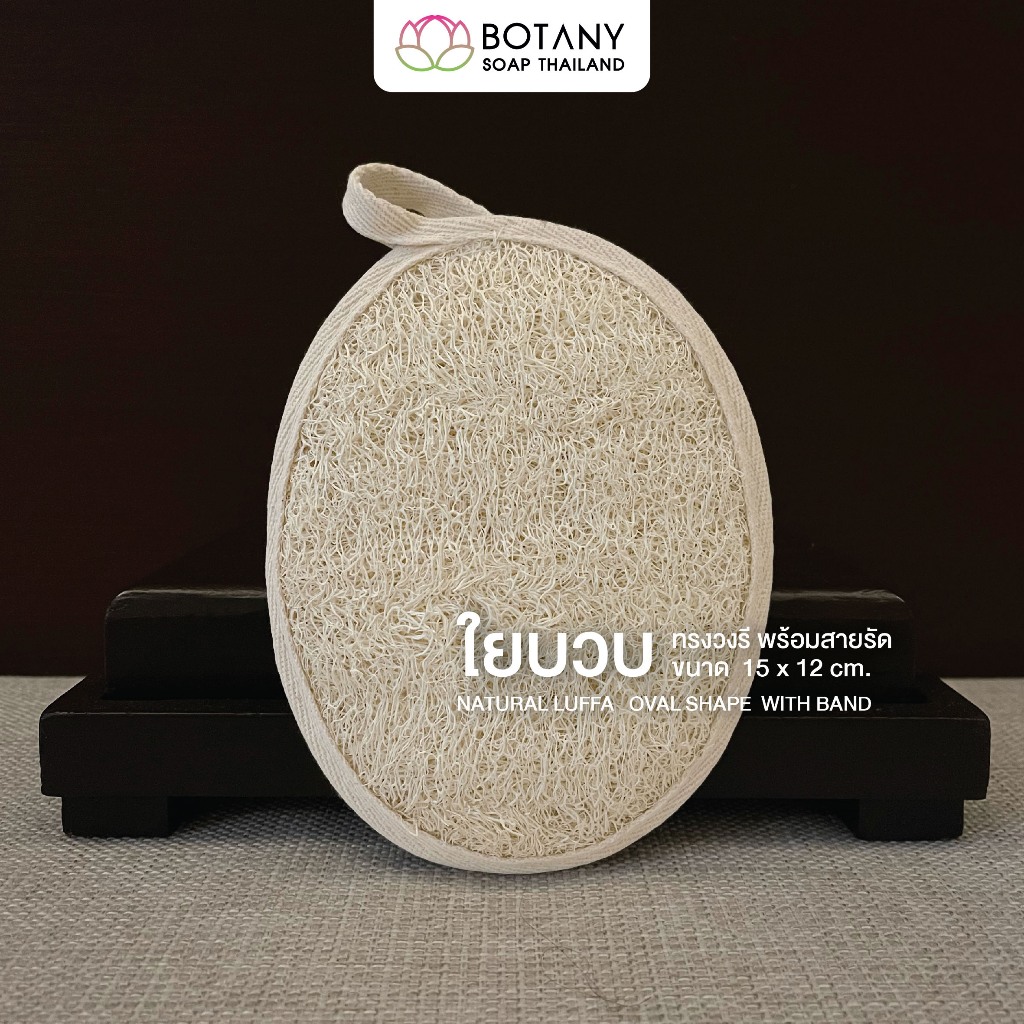 ใยบวบขัดผิว ทรงวงรี แบบแผ่นขัดตัว มีสายรัดด้านหลัง