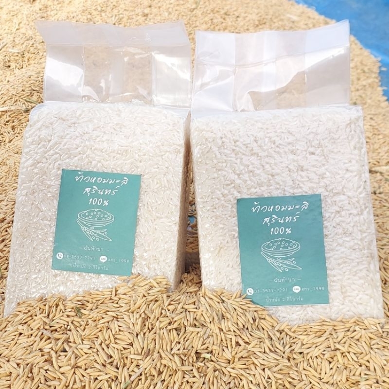 ข้าวหอมมะลิสุรินทร์ 100% (ข้าวใหม่ พ.ย 67) ส่งตรงจากชาวนา บรรจุ 2 กก.