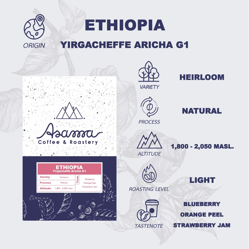 เมล็ดกาแฟคั่วอ่อน Ethiopia Yirgacheffe Aricha G1 200 กรัม