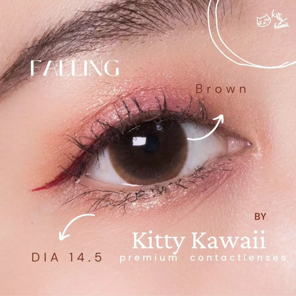 🔥คอนแทคเลนส์✨ขนาดกลาง✨ Falling ✨Kitty Kawaii สี Brown / Black / Gray