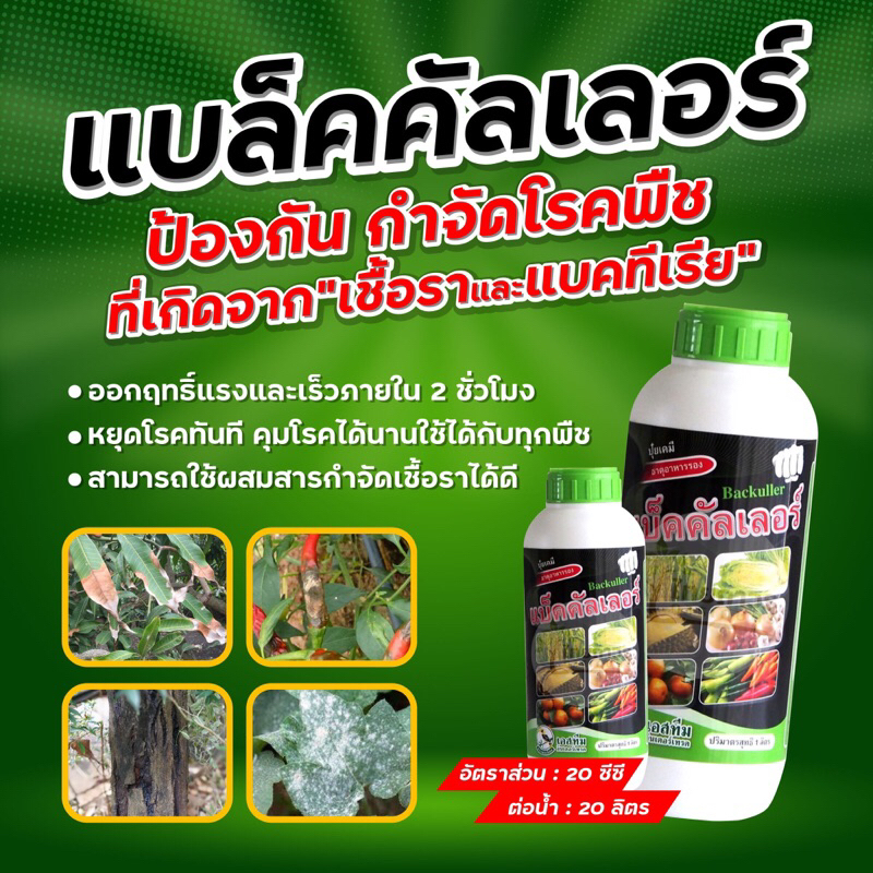 ฆ่าเชื้อรา กำจัดเชื้อโรค หยุดเชื้อรา แบคทีเรีย ล้างแผล ล้างใบ ล้างผล หยุดโรคไม่ลาม พืชแข็งแรง มีภูมิคุ้มกัน แบ็คคัลเลอร์