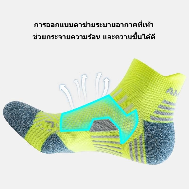 รูปภาพ 5