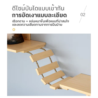 รังแมวติดผนัง กล่องแมวติดผนัง คอนโดแมวติดผนัง กล่องแมวติดผนัง DIY ขายแยกชิ้น