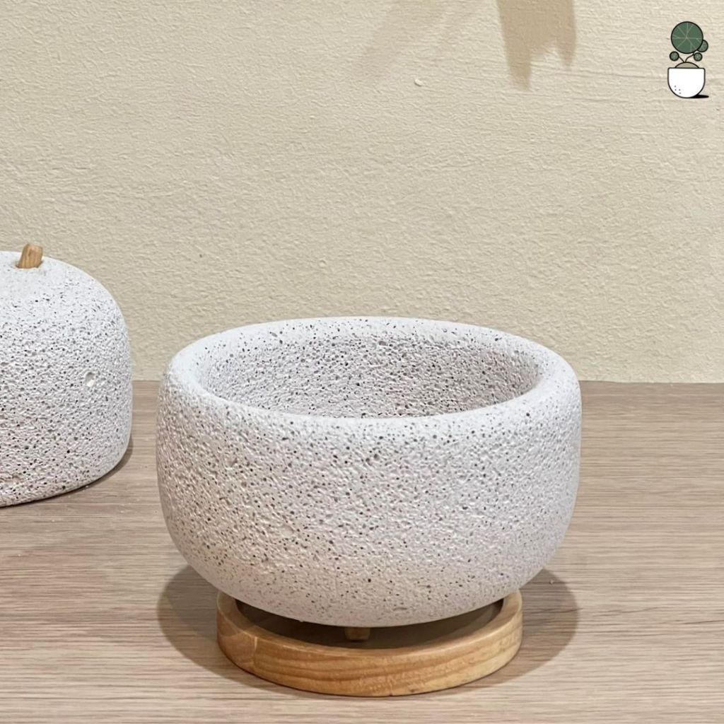 กระถางอิฐมวลเบาทรงใหญ่ ขนาด13*13*9cm พร้อมจานรองไม้ กระถางต้นไม้ไซส์ใหญ่ที่สุดในร้านเรานะคะ