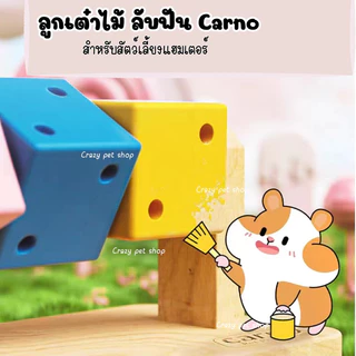 [crazy pet shop]ลูกเต๋าลับฟัน หมุนเล่นได้เสริมพัฒนาการให้น้องได้สนุกไม่เบื่อ สำหรับแฮมเตอร์