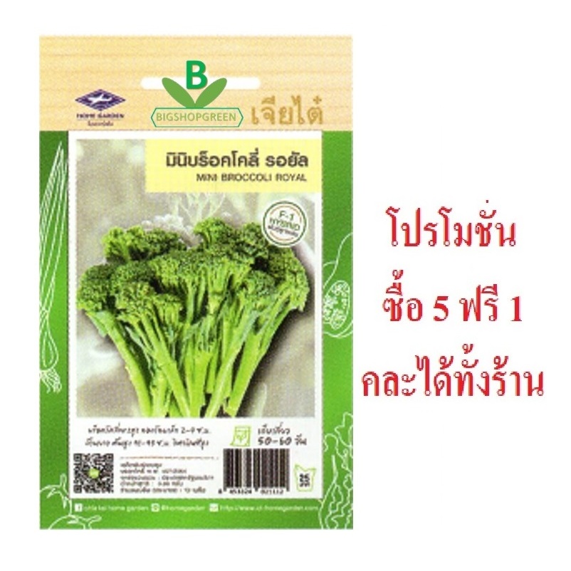 5 แถม 1 คละได้ทั้งร้าน เมล็ดพันธุ์ มินิบร็อคโคลี่ รอยัล เจียไต๋ เมล็ดพันธุ์คัดพิเศษ F1 ความงอกสูง ปลูกง่าย โตไว