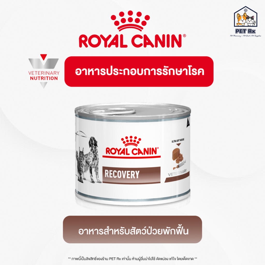 Royal Canin : Recovery อาหารเปียก สำหรับสุนัขและแมวป่วยระยะพักฟื้นและการดูแลหลังผ่าตัด 195 g.