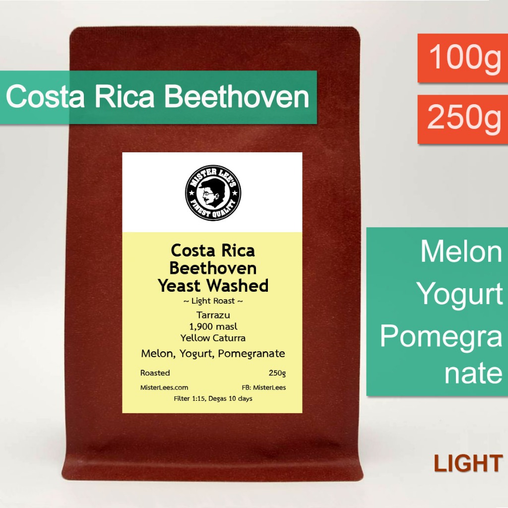 Costa Rica Beethoven เมล็ดกาแฟคอสตาริกาบีโธเฟน