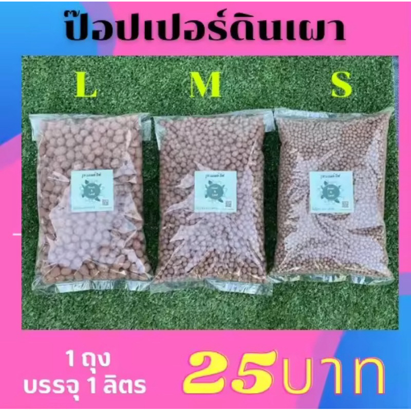 ป๊อปเปอร์ดินเผา เม็ดเล็ก(ไซส์ S) สำหรับคลุมดินเก็บความชื้นให้ต้นไม้ 1ถุง ขนาด1ลิตร ผลิตจากดินเหนียวธรรมชาติ - รูปที่ 4