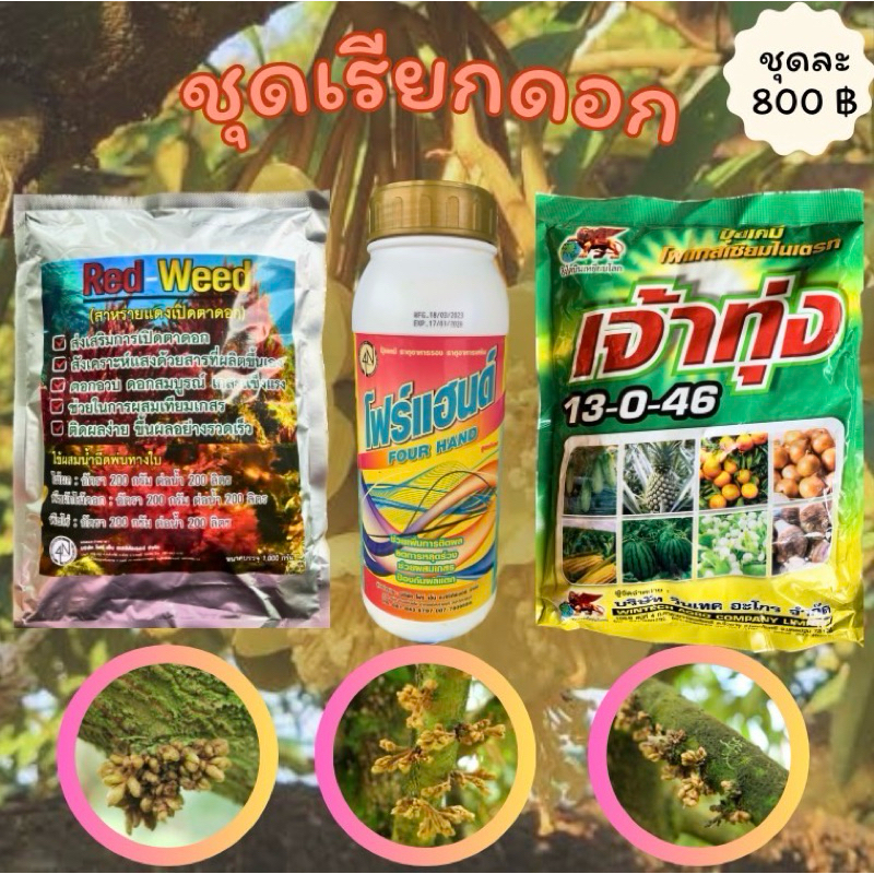 ชุดเรียกดอก สาหร่ายแดง+แคลเซียมโบรอน+ปุ๋ยเกร็ด13-0-46