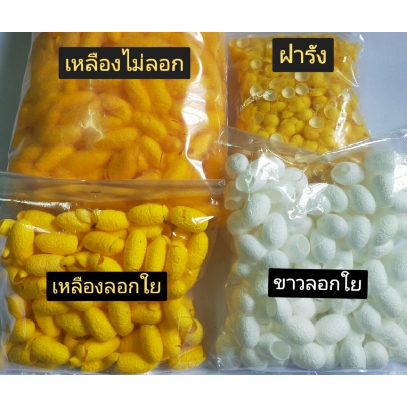 รังไหมสีขาวสีเหลืองฝารังแบ่งขาย