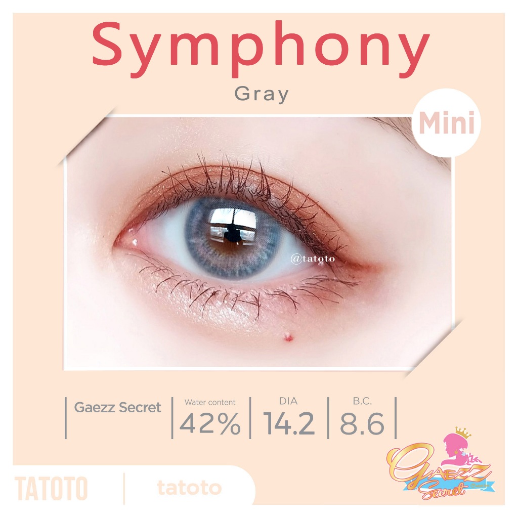 คอนแทคเลนส์สี ใส่สบาย ไม่แสบตา │ อย.ไทย │ ส่งจากไทย │รุ่นPat Gray
