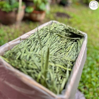 CBRF หญ้ากระต่าย หญ้าทิโมธีอบลมร้อน Super Premium Timothy Grass 1Kg. หญ้าทิมโมธี(กล่องน้ำตาล)