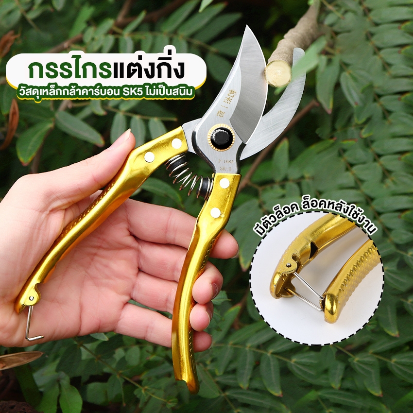 Systano (ส่งจากไทย) กรรไกรแต่งกิ่ง กรรไกรตัดกิ่ง สแตนเลส มีตัวล็อค No.Y1506