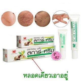 Dragon's Blood Scar CREAM ดราก้อนบลัด สการ์ ครีม  5 / 15 G D…