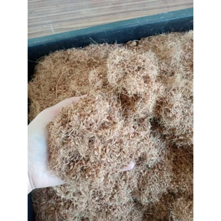 ขุยมะพร้าว​ ขนาด​ 800​ กรัม