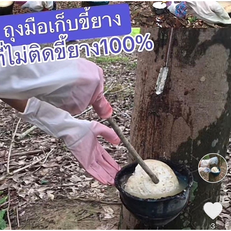 ถุงมือเก็บขี้ยางพารา (ร้านดังจากTikTok) ทนกรด ป้องกันกลิ่น ถุงมือกรีดยาง ยางไม่ติด ใช้เนกประสงค์