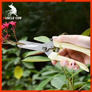 MUSCLE COW 8” กรรไกรตัดโลหะ สแตนเลส ตัดซีลาย ตัดสังกะสี ตัดแผ่นมิเนียม กรรไกรตัดกิ่งไม้ กรรไกรอเนกประสงค์