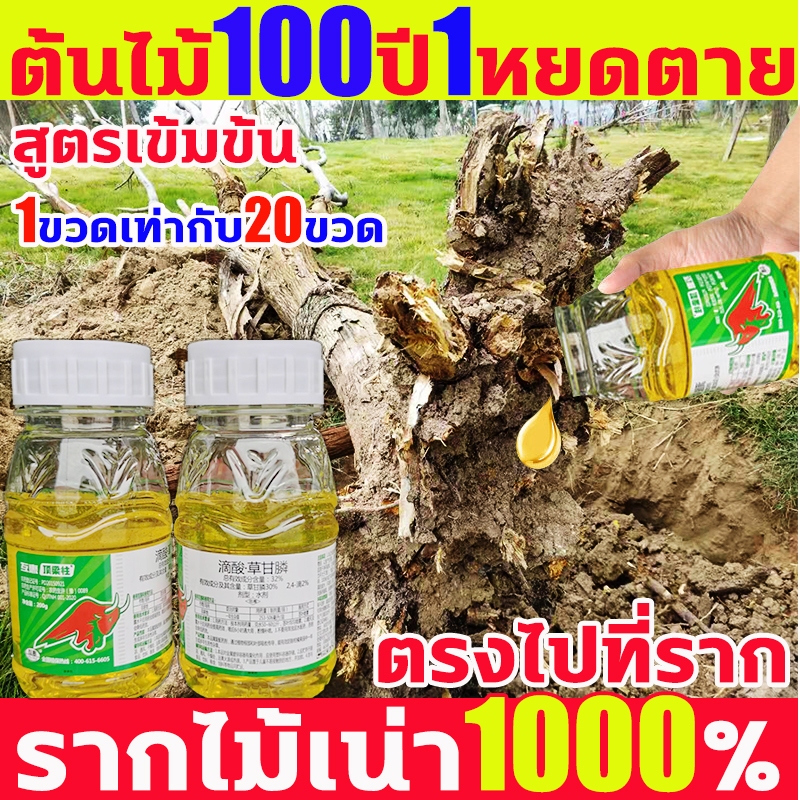 ต้นไม้ 100 ปี 1 หยดตาย ยาฆ่าตอไม้ กำจัดต้นไม้และไม้ไผ่ให้หมดสิ้น ยาฆ่าต้นไม้ใหญ่ กําจัดกอไผ่ ปุ๋ยกำจัดกอไผ่