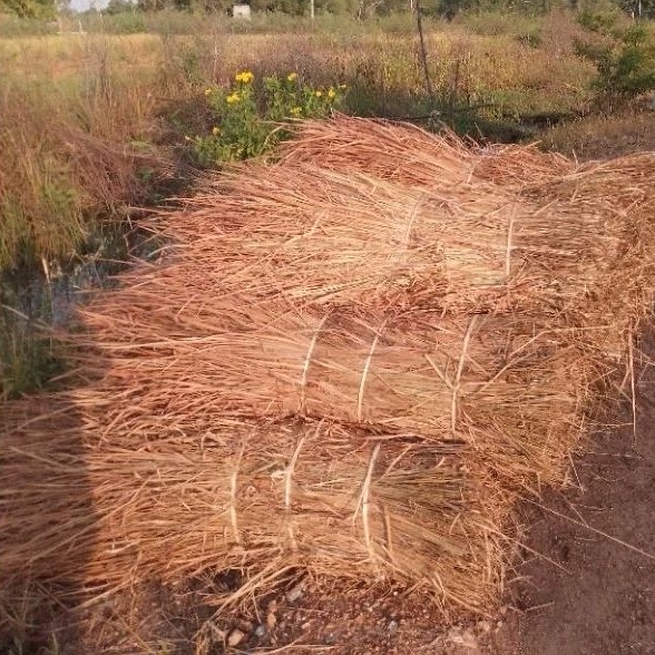 หญ้าคาแห้ง ทำตับหลังคาซุ้มไม้ไผ่