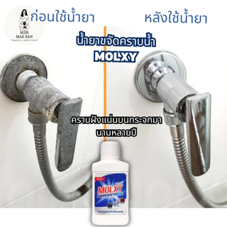 MOLXYน้ำยาขจัดคราบน้ำบนกระจก สูตรเข้มข้น 1 ขวด ขจัดคราบน้ำ คราบสบู่ น้ำยาMOLXY
