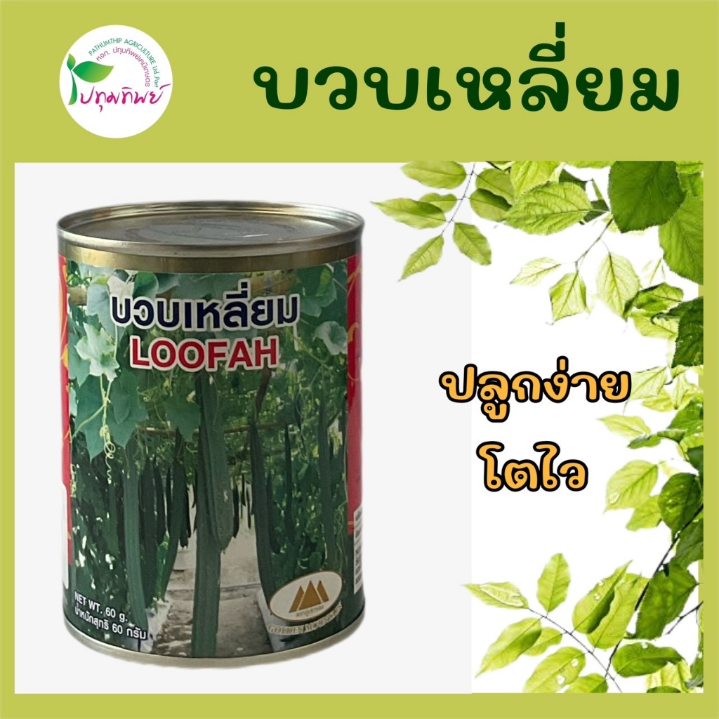 เมล็ดพันธุ์ ตราภูเขาทอง บวบเหลี่ยม ขนาด 60 กรัม