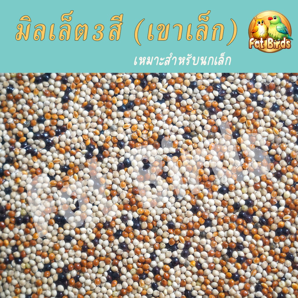 อาหารนก มิลเล็ต 3 สี (เขาเล็ก) เกรดA สำหรับนกตัวเล็กตัวน้อย แบ่งขาย 250g/500g/1kg