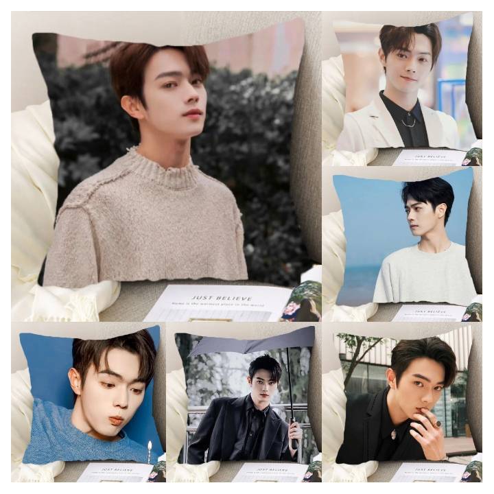 Pre Order หมอน สวีข่าย XuKai หมอน+ปลอก ถอดซักได้ค่ะ
