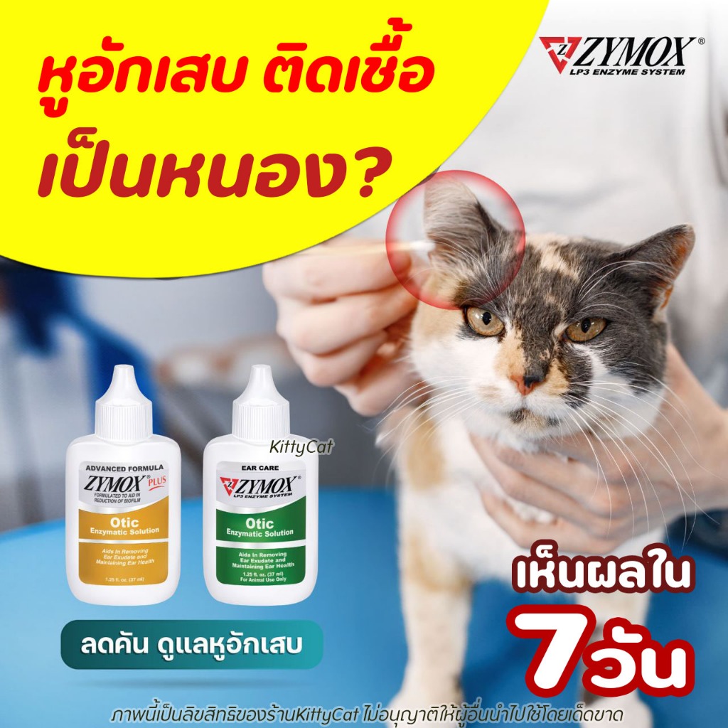 【ส่งเร็ว】37ml Zymox Otic Solution ผลิตภัณฑ์ดูแลช่องหู ภายนอก ลดคัน อักเสบ แบบเฉียบพลัน หรือ เรื้อรัง