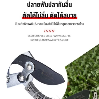 MAYILON กรรไกรตัดกิ่ง กรรไกรตัดกิ่งไม้ด้ามยาว ตัดกิ่งได้ เหล็ก กรรไกรตัดหญ้า SK5 ปรับควายาวได้ 70-95.5 CM ใบมีดคม