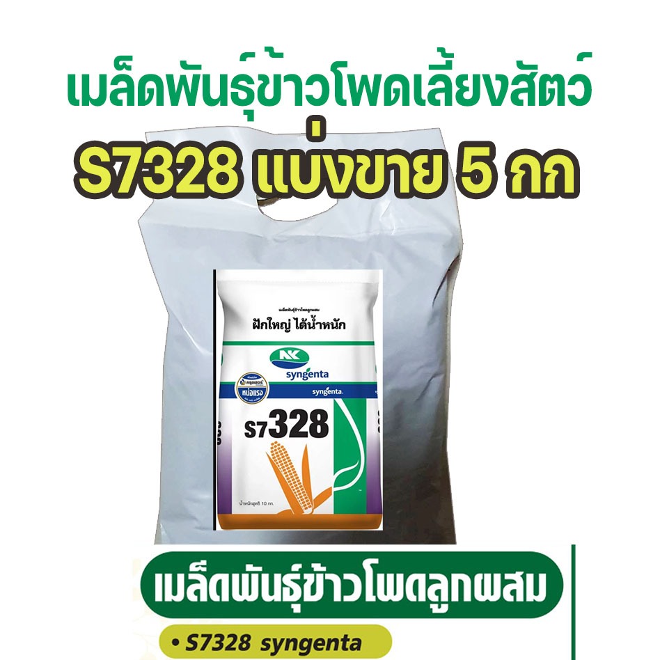 เมล็ดพันธุ์ข้าวโพดลูกผสม syngenta s7328 ขนาด 3หุน  แบ่งขาย 5กกพันธุ์ข้าวโพดเลี้ยงสัตว์ น้ำหนักดีรากแ