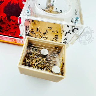 ห้องทิ้งขยะภายนอก ต่อกับ OW - Donatic Ants