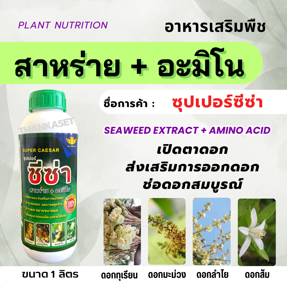 สาหร่าย + อะมิโน เปิดตาดอก เร่งออกดอก บำรุงดอก ยืดช่อ เพิ่มความสมบูรณ์ให้ต้นพืช ขนาด 1 ลิตร