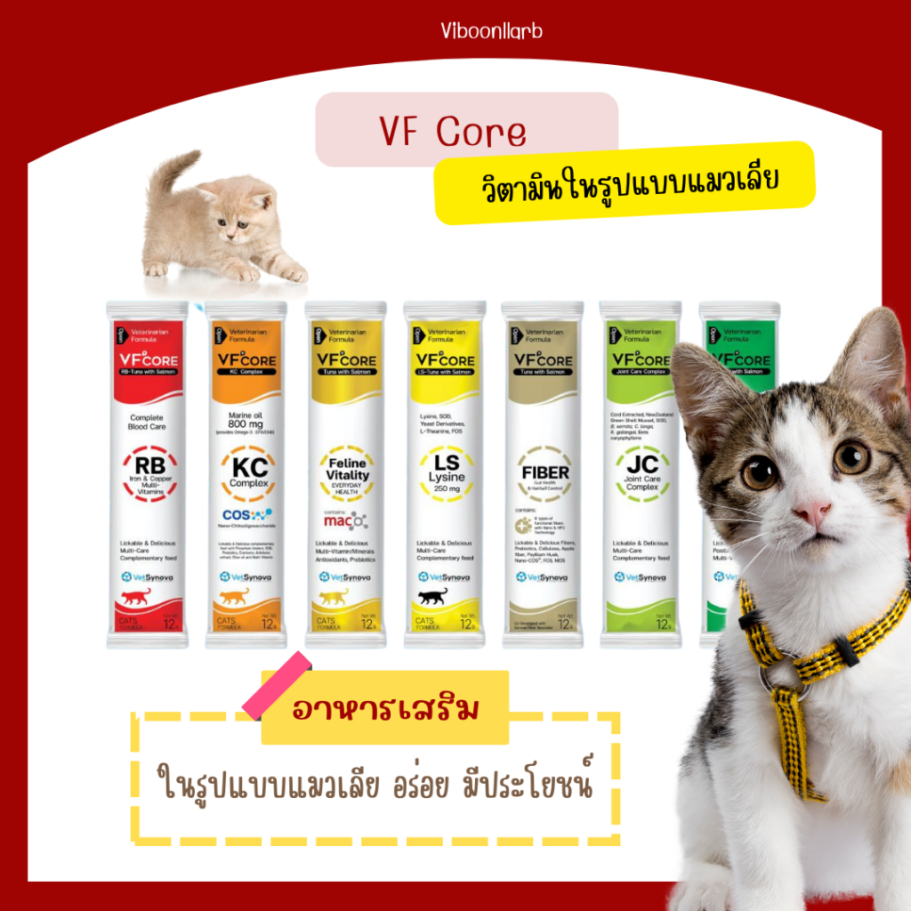 ส่งด่วนได้ของเลย 🔥 VF Core วิตามิน อาหารเสริมในรูปแบบแมวเลีย วีเอฟคอร์ เพื่อบำรุงร่างกาย