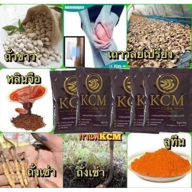 กาแฟสมุนไพร KCM Coffee