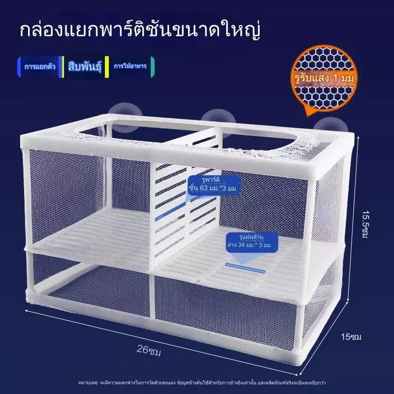 ตาข่ายแยกปลา 4 ช่อง ขนาด 26x15x15 cm thumbnail 8