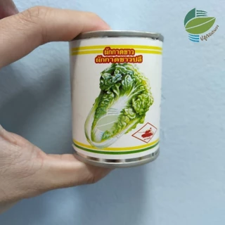 🌱🥫ผักกระป๋อง คะน้า กะเพรา ผักชี ขึ้นฉ่าย แตงโม ผักชี ชีลาว ผักกาดหอม ผักบุ้ง กวางตุ้ง แมงลัก โหระพา เขียวน้อย ผักกาดขาว
