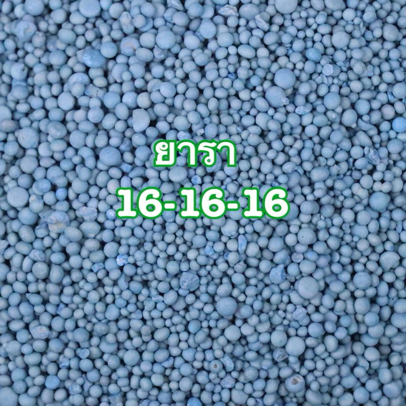 ปุ๋ยยารามีร่า 16-16-16 ปุ๋ย เร่งใบ เร่งดอก เร่งแตกยอด ปุ๋ยสูตรเสมอ