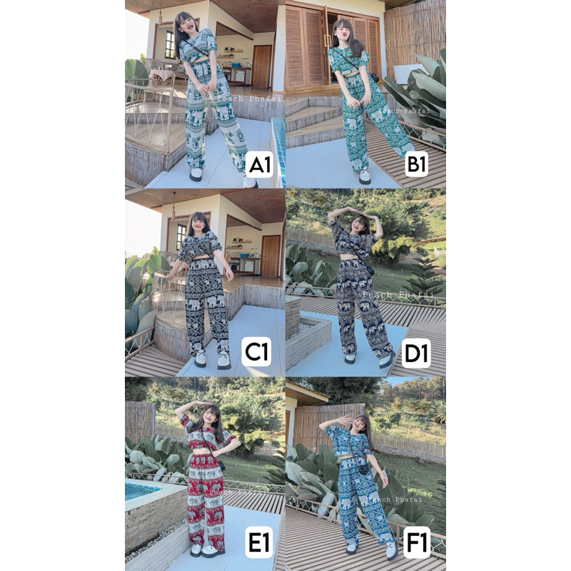 ชุด Collection ช้างลายใหม่￼