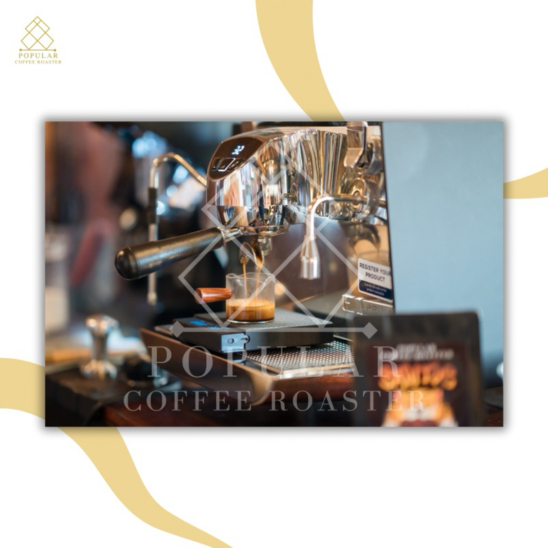 Popular Coffee Roaster เมล็ดกาแฟคั่ว Thep Sadet Chiang mai Thailand รูปที่ 4