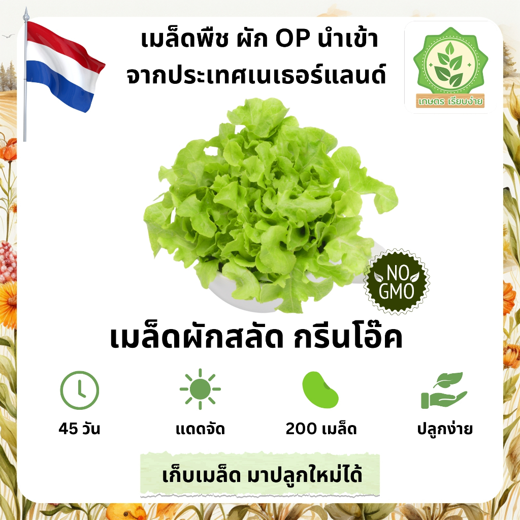 เมล็ดพันธุ์สลัดรวมผักต่างๆ กรีนโอ๊ค กรีนโอ๊กเมล็ดสลัดนอก นำเข้าต่างๆ พันธุ์ OP บรรจุ 40-200 เมล็ด