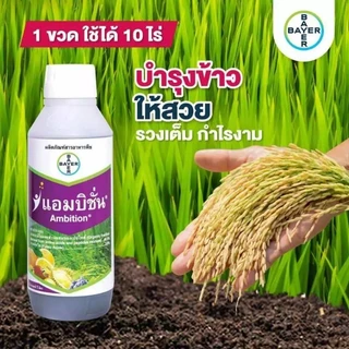 แอมบิชั่น1​ลิตร สาระสําคัญ : อะมิโน+ฟลูวิคเข้มข้น ขนาด 1ลิตร