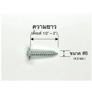 สกรูปลายแหลม หัวเวเฟอร์ #8 สกรูแทนรีเวท สกรูหัวแบน หัวกลมแบนติดแหวน Wafer Head Self Drilling Screws
