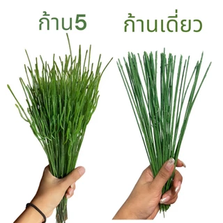 ก้านพลาสติก ก้านกุหลาบ 100 ก้าน/แพ็ค