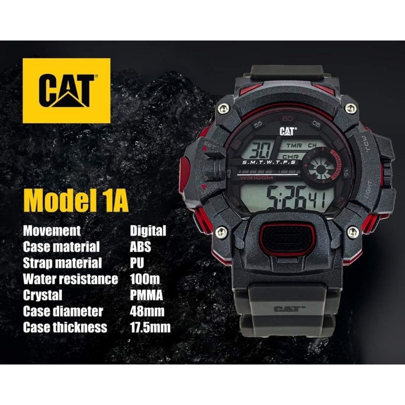 CAT watch 1A.157.25.241