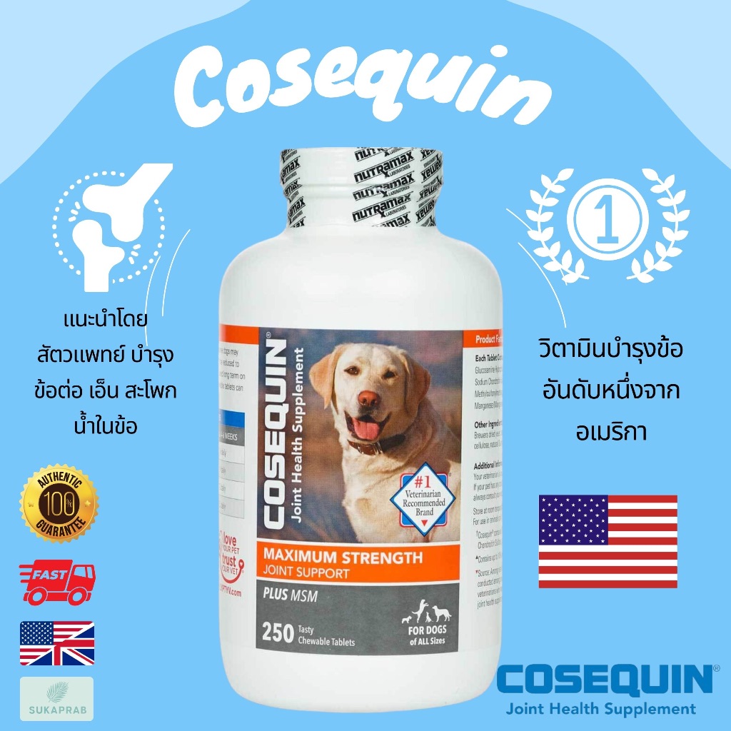 พร้อมส่ง Cosequin With Msm&Ha อาหารเสริมสำหรับสุนัขสำหรับสุขภาพข้อต่อ