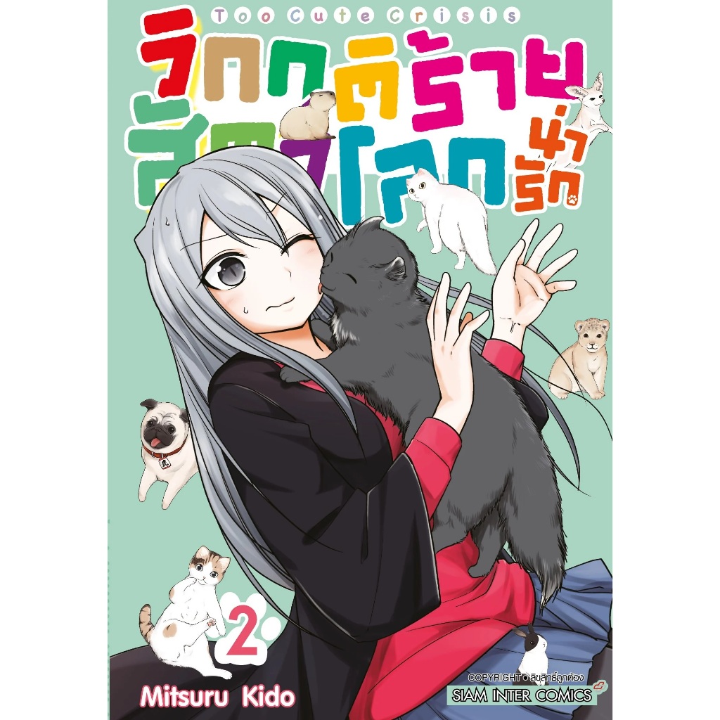 Thumbnail 4