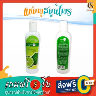 จันทร์สว่าง : แชมพูสมุนไพรบำรุงรากผมสมุนไพร ช่วยลดการหลุดร่ว…