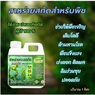 สาหร่ายทะเลสกัดสำหรับพืช ฮอร์โมนบำรุงพืช การช่วยติดดอก ออกผล…